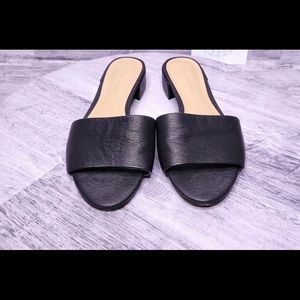 Banana Republic Slides